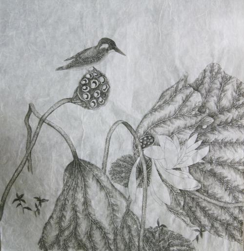 画稿---荷花翠鸟