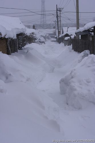 黑龙江黑河市和伊春市普降暴风雪