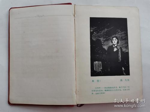 内画页-血债 华蓥山纵队司令 胜利的消息 李敬原与成的会见 许云峰