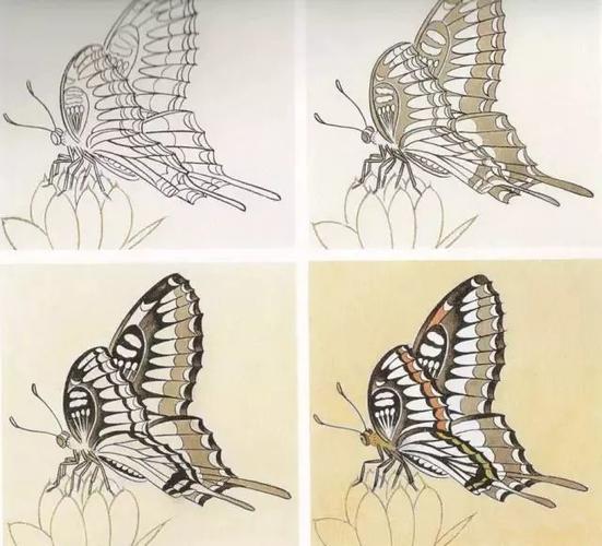 【国画教程】14种蝴蝶的工笔设色画法,不容错过!