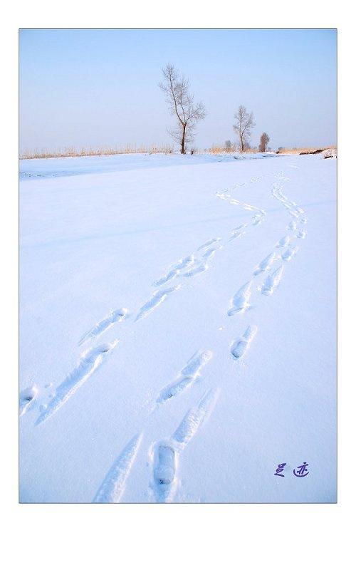 【足迹摄影图片】友谊农场纪实摄影_太平洋电脑网摄影部落