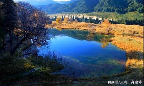 巩乃斯森林公园风景