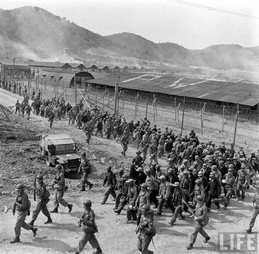 朝鲜战争老照片 被俘虏的中朝两国士兵 残酷的战争