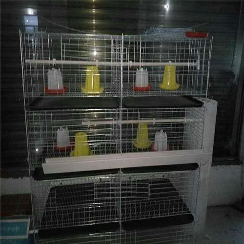 本溪专业生产育雏小鸡笼