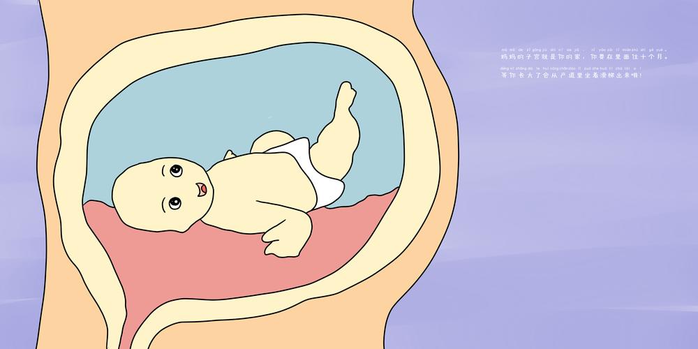 绘本:我从哪里来