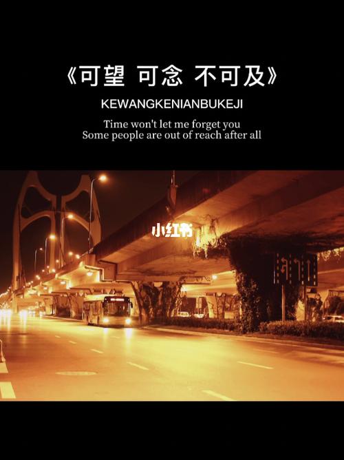 可望可念不可及_情感语录_素材_文字素材