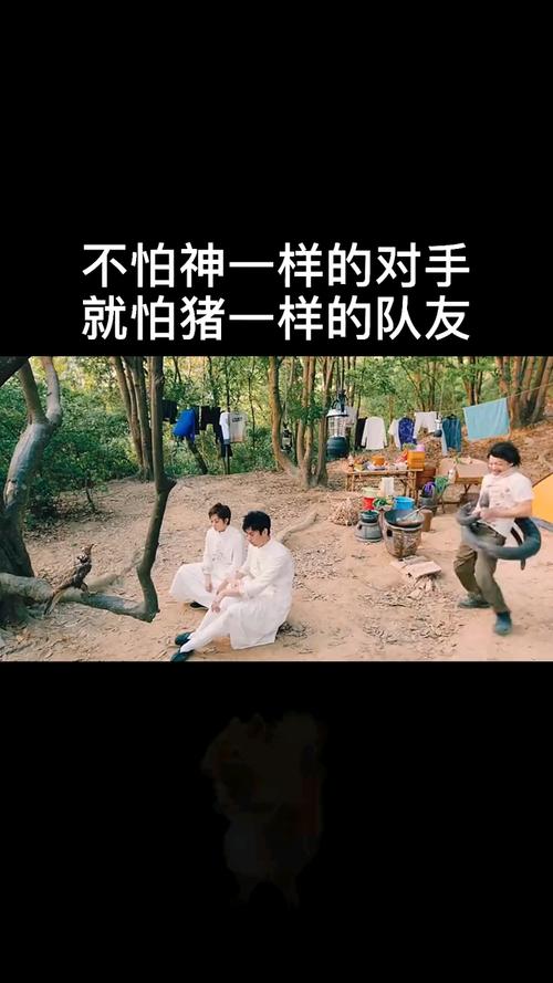 真的是应了那句不怕神一样的对手就怕猪一样的队友太坑了