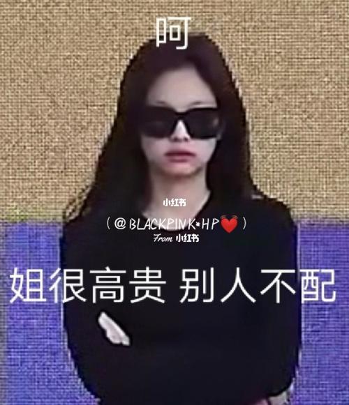 blackpink表情包第二季78_表情包_blackpink_素材