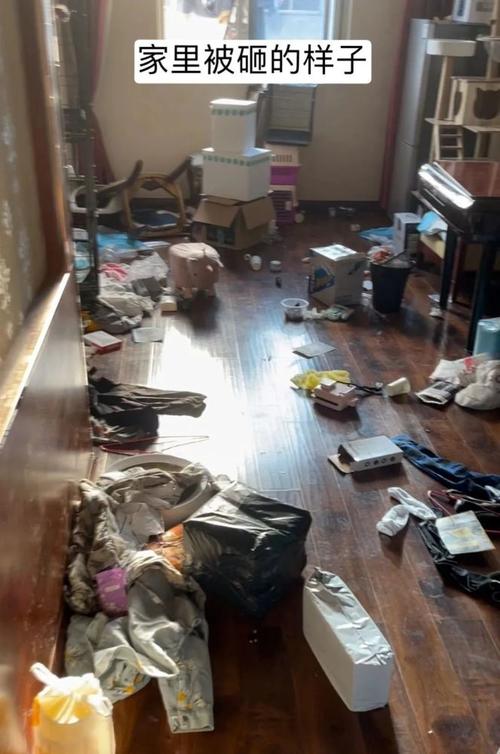 "分手后,前男友活活摔死了我的7只奶猫…"