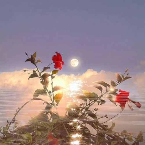 决定放弃一个人的文案