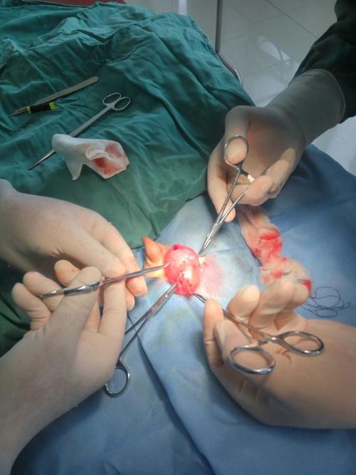 孩子的"蛋蛋"一下子就减轻了许多