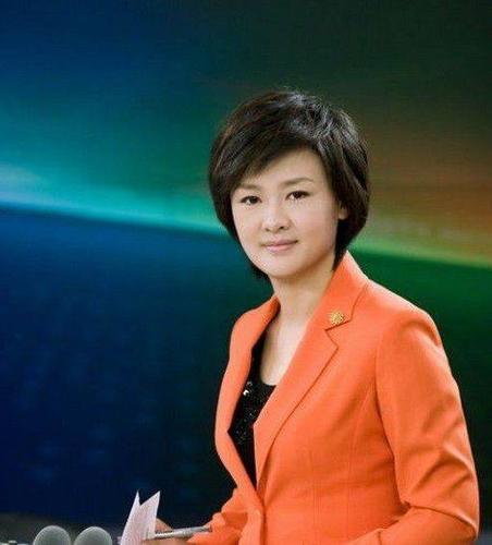 2015年,曾主持过《半边天》,《东方时空》,《24小时》,《新闻1 1》等
