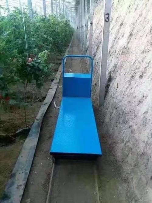 大昌蔬菜大棚运输车