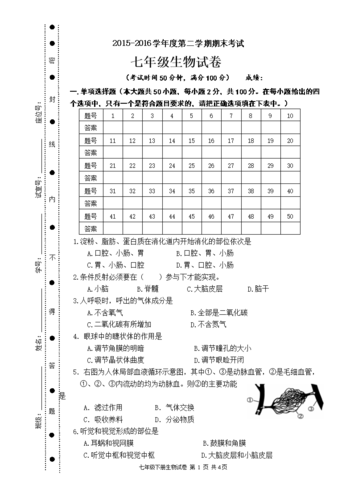 北师大版七年级下册生物期末考试试卷(附答案).doc