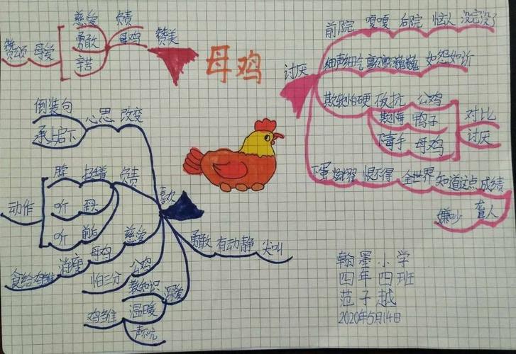 四年四班《母鸡》思维导图集