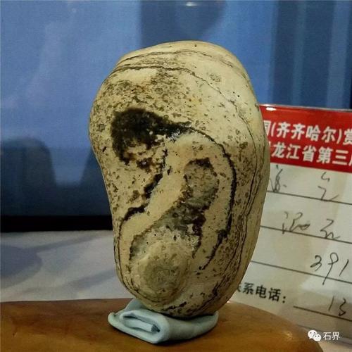两个新石种销售破百万!别再说奇石卖不出去了!