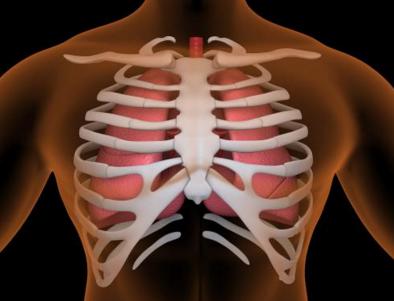 介绍肋软骨炎带来3大危害