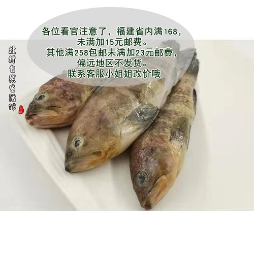 野生小石石斑鱼海海鲜种类任选福建省外258包未满斑鱼