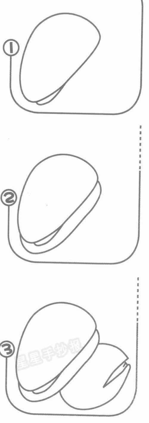 松子简笔画