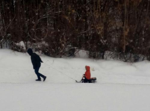 当地的俄罗斯人直接在雪地里拉滑板车就可以拉着小孩子了.