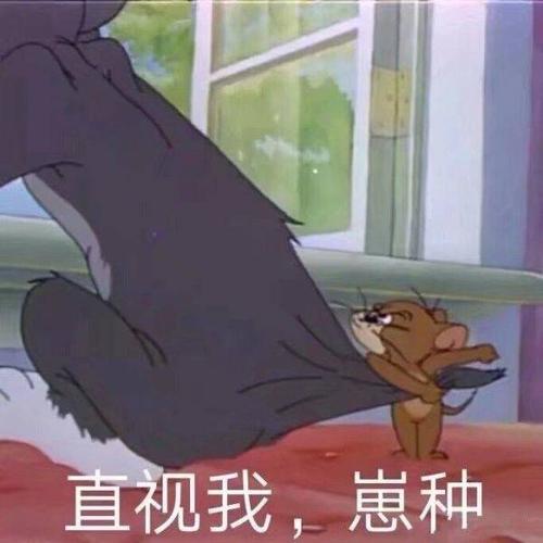 猫和老鼠 汤姆 杰瑞 直视我,崽种