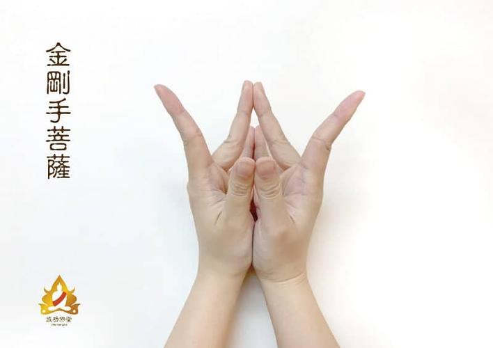 「金刚手菩萨」—诸佛菩萨的力量总集