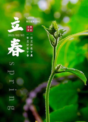 2月3日立春早安心语正能量简短语句立春图片带字正能量
