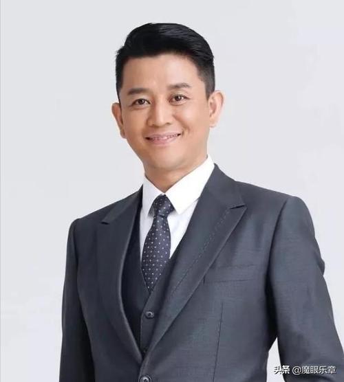 上海电视台主持人(上海八位高颜值新闻男主播)