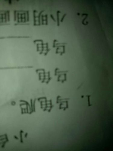 乌龟组词有哪些词语大全