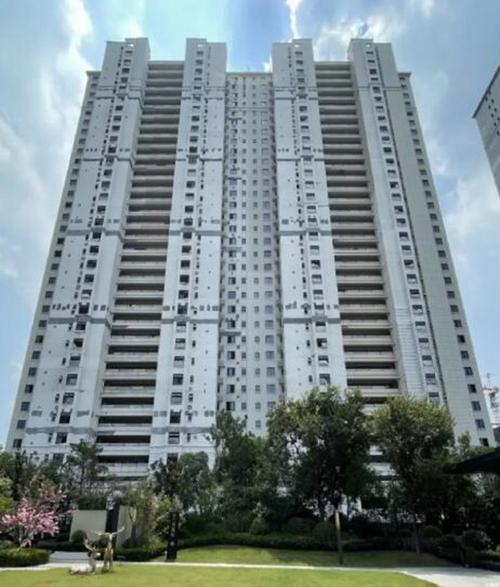 泰州佳兆业壹号公馆8月工程进度