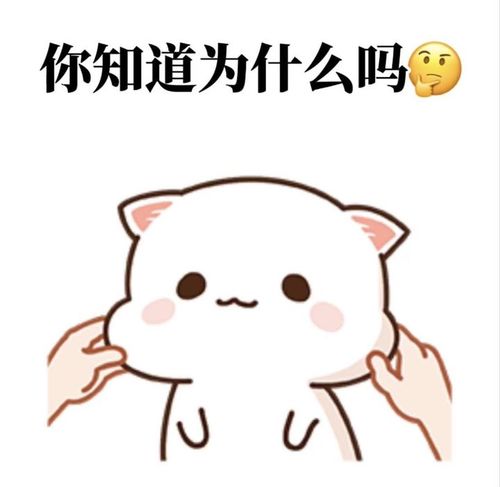 今日份快乐表情包