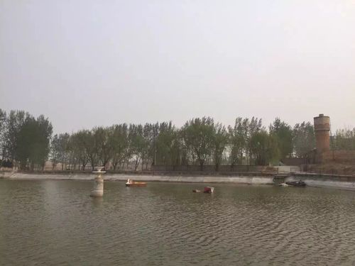 整体出租农场:地址大荔县羌白镇八鱼乡黄甫村.50余亩沙滩地.