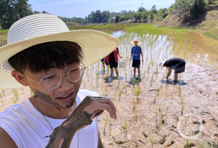 我为群众办实事|这个乡村"暑期课堂"带孩子们下田种地