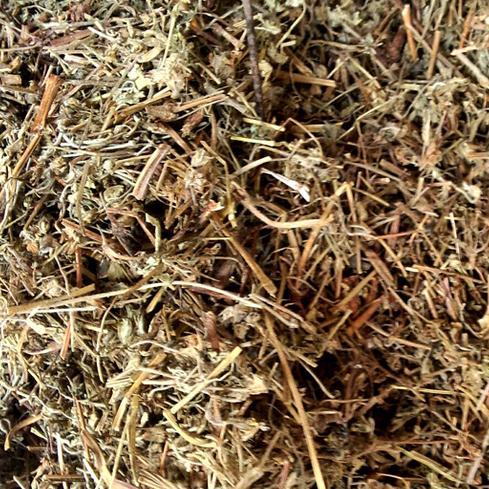 老鹤草 6斤包邮 老鹳草/老鸦嘴/贯筋/老贯筋/ 中药材