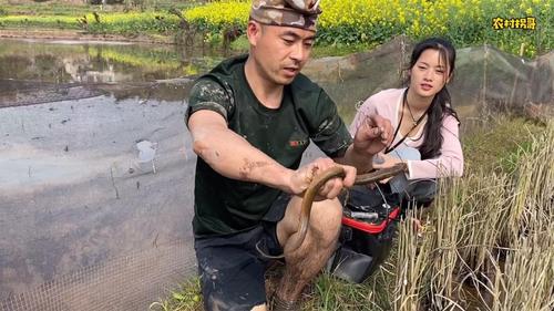 拐哥打野直播 - 西瓜视频