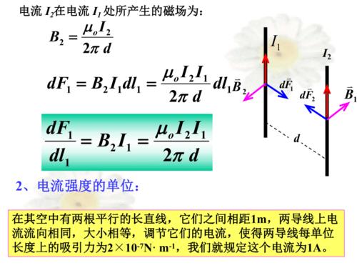 2020—2021学年人教版(2019)高二物理《安培力与磁力矩》课件13张ppt