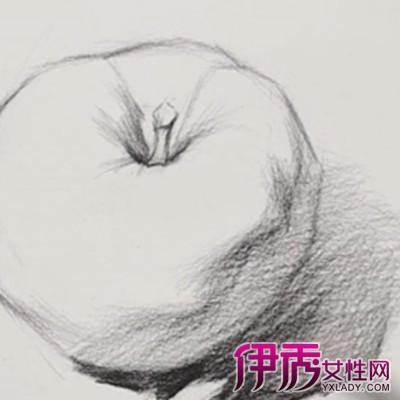 简笔画素描苹果步骤