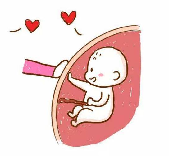 爱多幼儿园感恩主题活动【我从哪里来?】