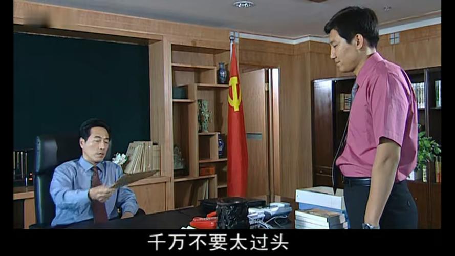 电视剧《人大主任》截屏照片