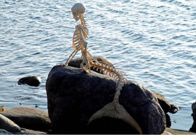 揭秘1962年的美人鱼事件:能与人类沟通,据说来自亚特兰蒂斯!