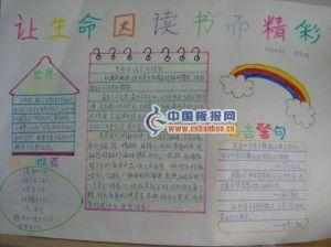 有关飞鸟集的手抄报 手抄报模板大全