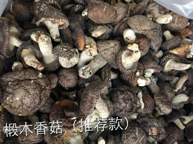 闽北乡下土特产 品种简介
