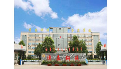 辛集市澳森钢铁集团有限公司
