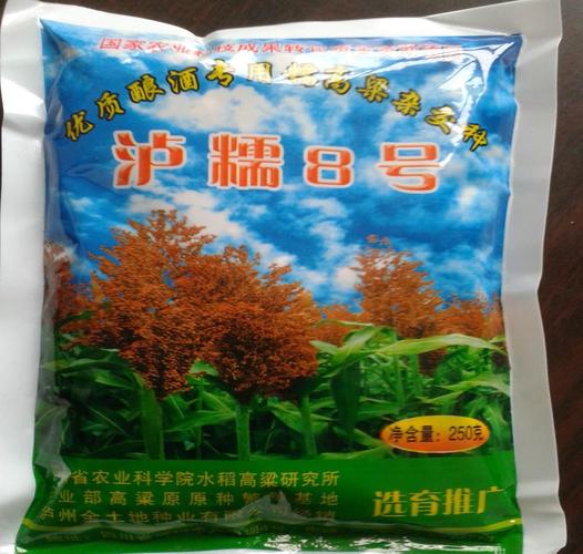 泸糯8号高粱种子 厂家代理销售 糯高粱 湖南农科院产品