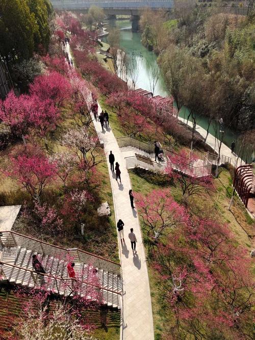 合肥匡河公园