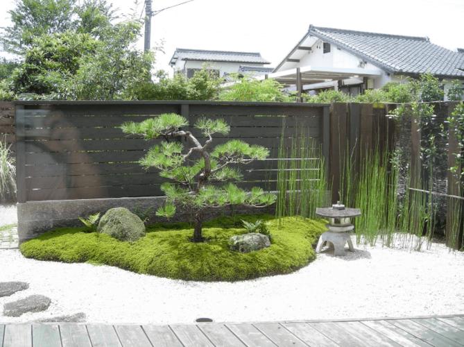 这几个日式庭院,真是美翻了!_植物