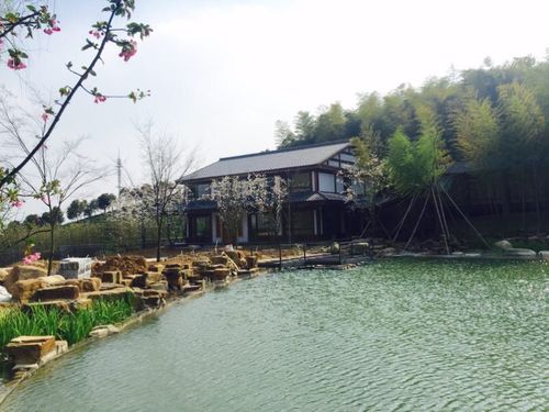 旅行 宜兴西渚白塔村 写美篇 宜兴西渚镇白塔村下一个叫横塘的自然