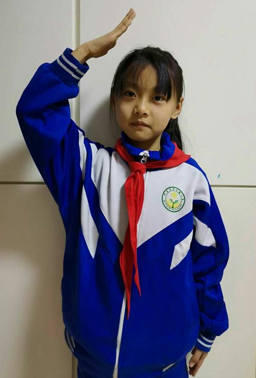 红领巾在向我们招手——丹阳路小学一年级学生队前教育