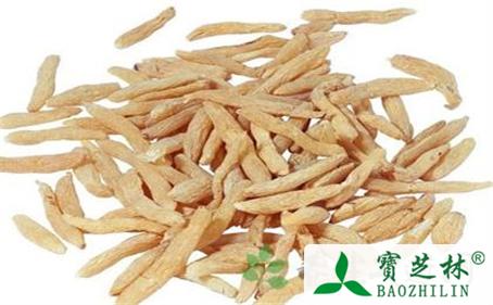 中药天冬的功效和作用