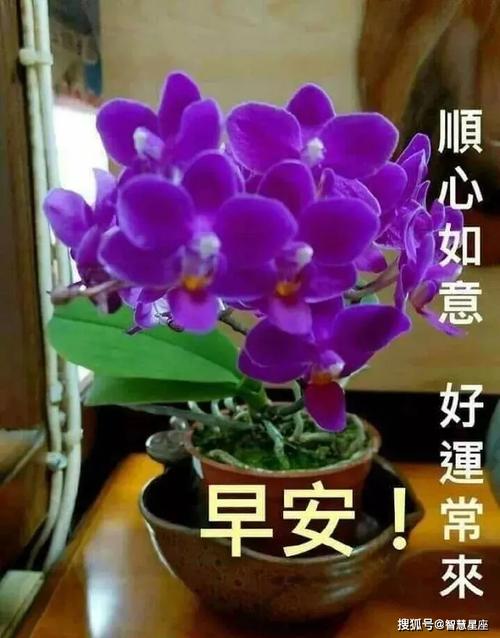 原创2021春季最新版漂亮早上好图片带字新的一天开始精美语句